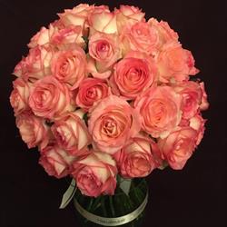 Roua Flowers - Florarie Ploiesti