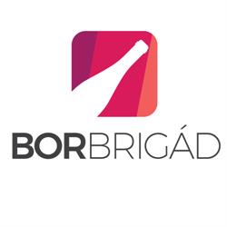 Borbrigád, Sfântu Gheorghe