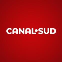 Canal SUD, Călăraşi