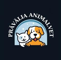 Cabinet Veterinar Prăvălia AnimalVET, Pecica