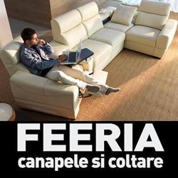 Gruppo Feeria, Comarnic