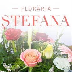 Florăria Ştefana, Nădlac