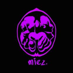 MIEZ - Spaţiu de impresie, Craiova
