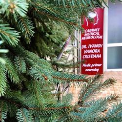 Cabinet Neurologie Botosani Dr. Ivanov Hanora-Cristiana - SERVICII TELEMEDICINĂ