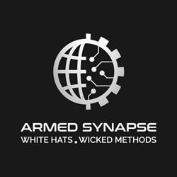 Armed Synapse, Timişoara