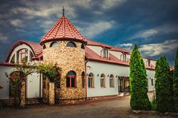 Events MAYA, Satu Mare