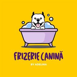 Frizerie Canina, Braşov