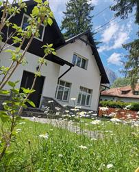 Vila Panduri 23, Buşteni