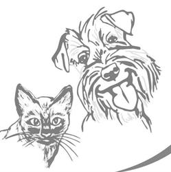 Cabinet Veterinar CameliaVet Cluj-Napoca