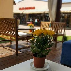 Cafe Veranda, Craiova
