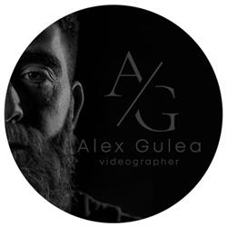 Alex Gulea, Sighişoara