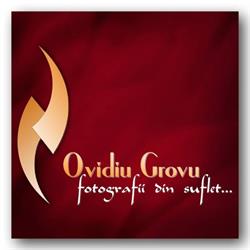 Ovidiu Grovu, Bistriţa