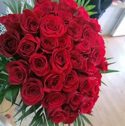 Floraria Lory, Avrig