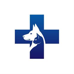 Cabinet Veterinar Dr. Tatiana Blajan, Sibiu