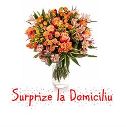 Surprize la Domiciliu Bucuresti