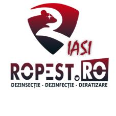 Ropest, Iaşi