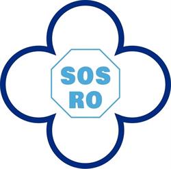 Cabinet parlamentar - Diana Iovanovici-Şoşoacă, Iaşi