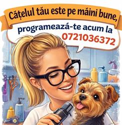 Little Puppy Style, Râşnov
