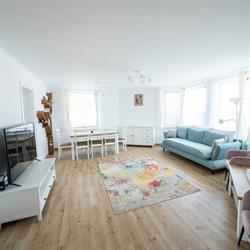 Family Nest, Haieu