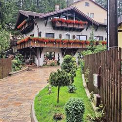 Amor Tirol, Buşteni
