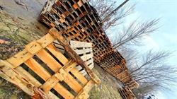 Colectare Paleti, Oradea
