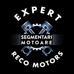 Expert Reco Motors - Reparatii - Segmentari Motoare - Service Auto, Mihăileşti
