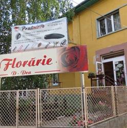 Florăria D-Dea, Timişoara