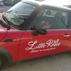 Little Roses, Timişoara