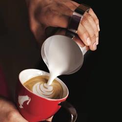 Café 31, Miercurea Nirajului