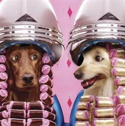 Melek - Pet Salon, Pet Hotel, Pet Shop, Târgovişte