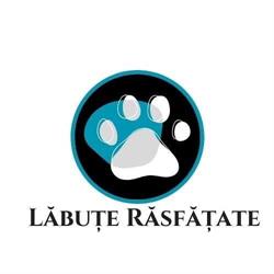 Labute Rasfatate, Târgu Mureş