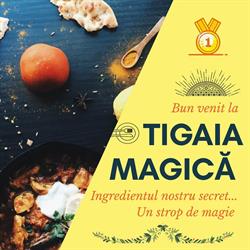 Tigaia Magica, Baia Mare