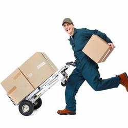 Post Cargo, Bacău
