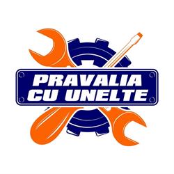 Pravalia cu unelte, Timişoara