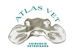 Atlas VET, Bucureşti