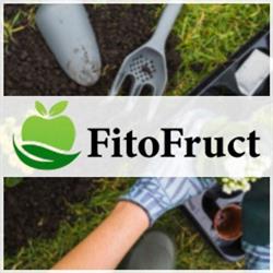 Fito Fruct, Aiud