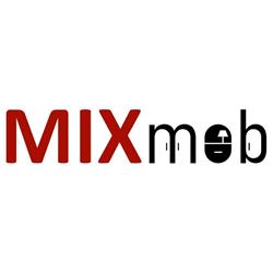 MixMob, Botoşani