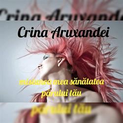 Răsfăţul părului cu Crina Aruxandei (Crina beauty salon), Arad