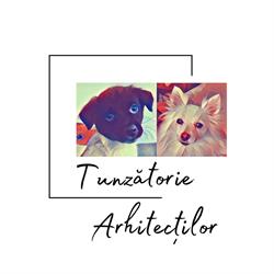 Tunzatorie Arhitectilor, Cisnădie