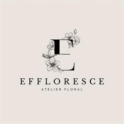 Effloresce, Ploieşti