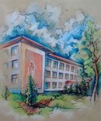 Şcoala 'Ştefan cel Mare' Vaslui