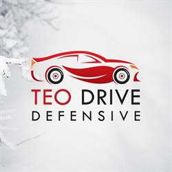 Teo Drive Defensive, Botoşani