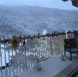 Apartamente Carmen Sinaia