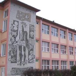 Şcoala Gimnazială ,,Andrei Mureşanu' Ploieşti - 2022