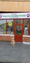 Petshop Steluţă. Sibiu