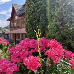 Pensiunea Roxy, Rucăr
