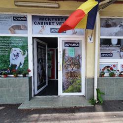 Mickyvet Farm, Constanţa
