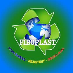 SC Fiboplast SRL, Oglinzi