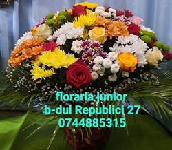 Floraria Junior, Piatra-Neamţ