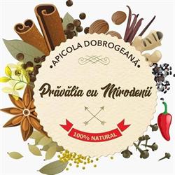 Pravalia cu Mirodenii, Constanţa